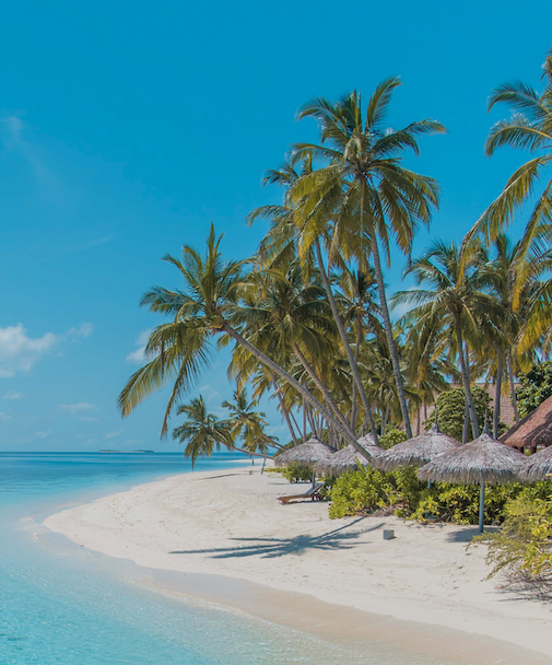 Péninsule de plage avec palmiers pour le voyage