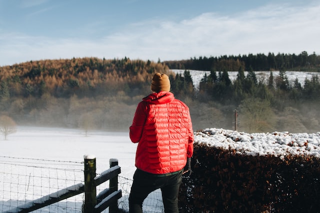 Homme surplombant un champ et une forêt, dos à la caméra