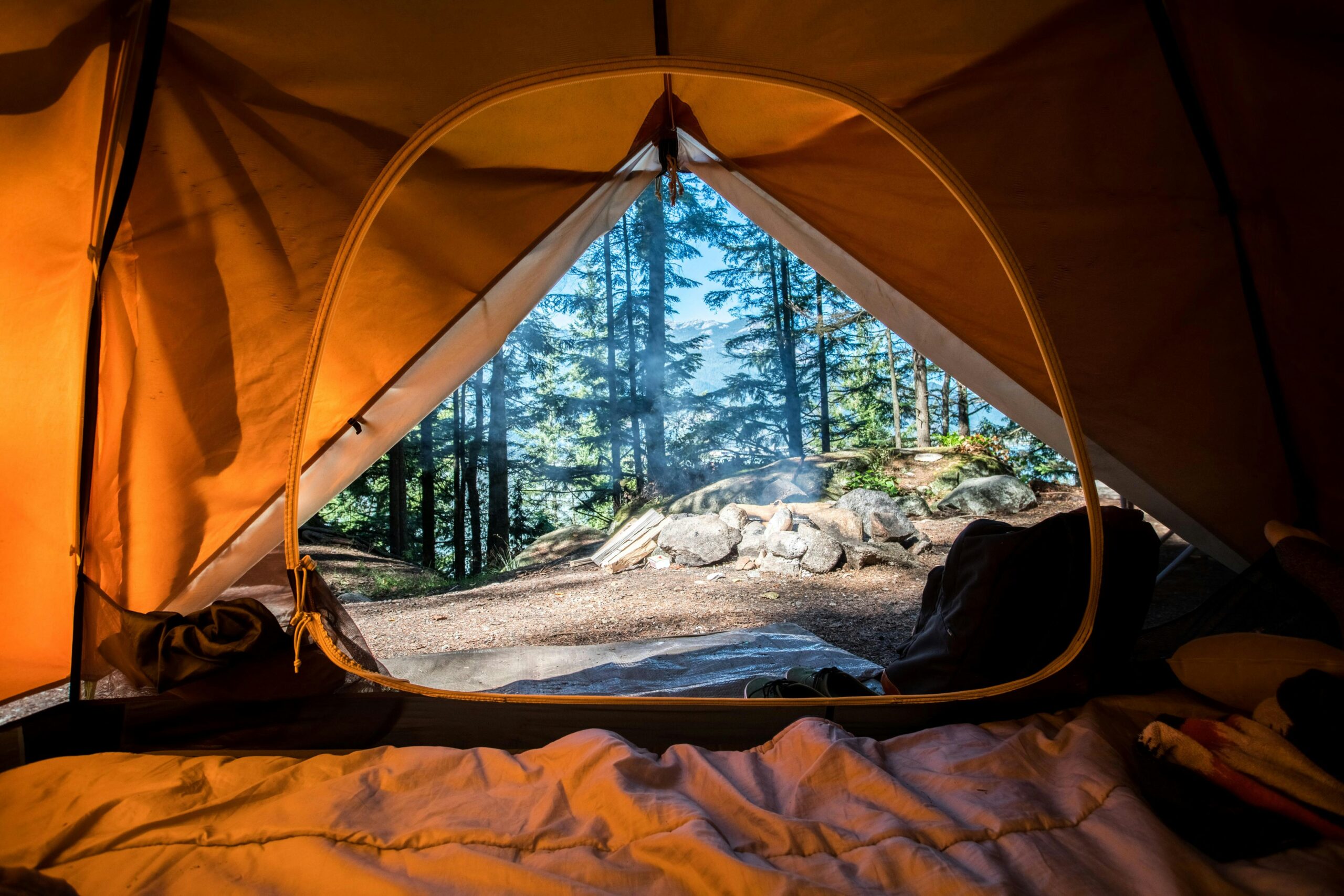 Camping in a tent looking at the woods